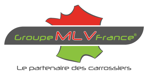 logo MLV France